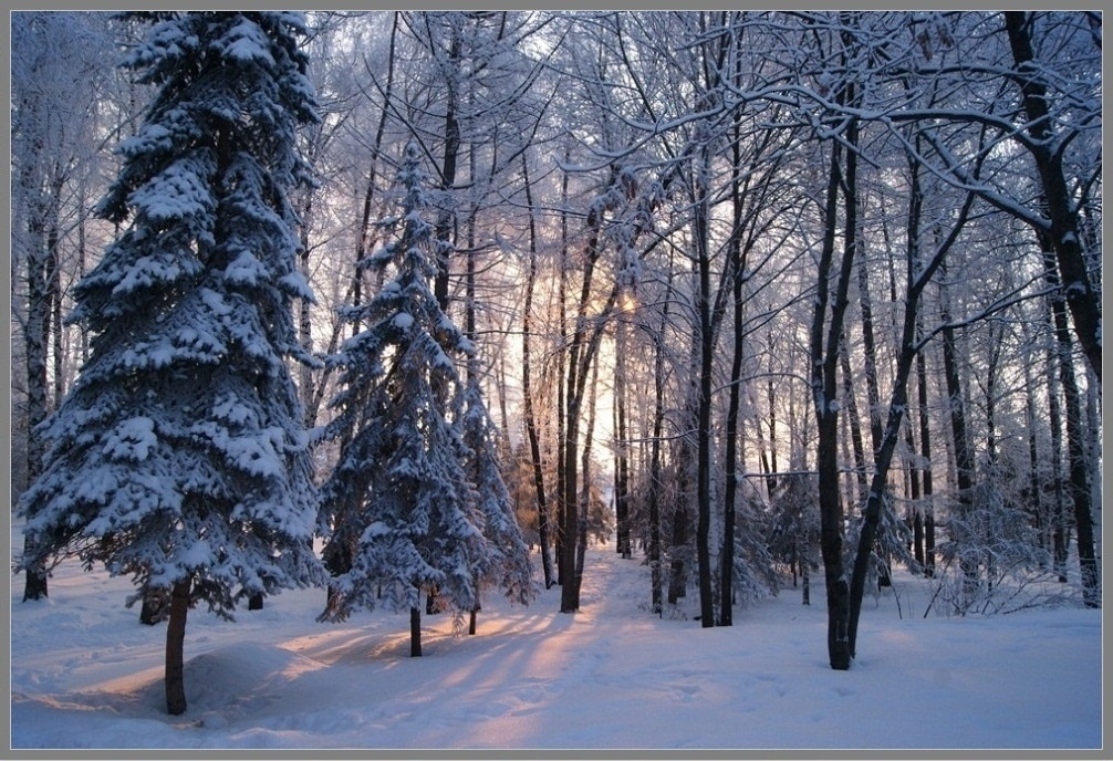 Днем январским зима