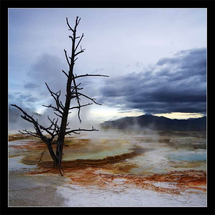 Canary Spring, Mammoth Hot Springs, Yellowstone. Canary Spring, Mammoth Hot Springs, Yellowstone