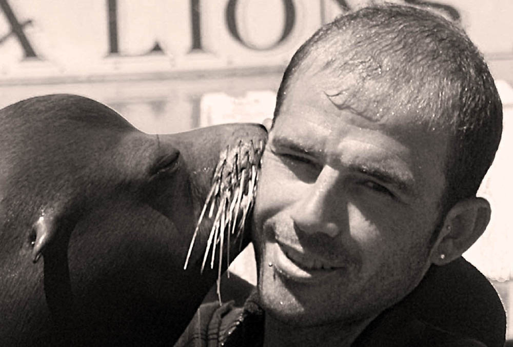 SEA_LIONS 