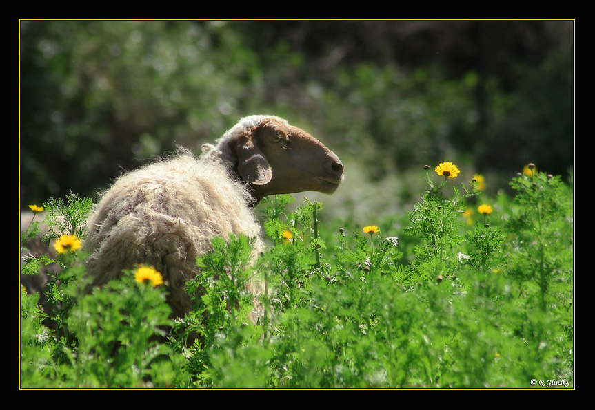 Spring is in the Air. 