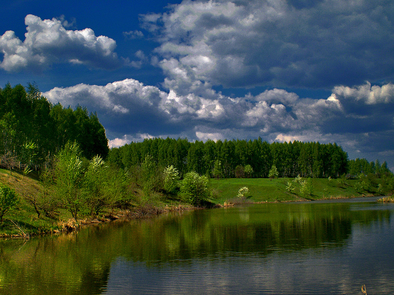Летний день 