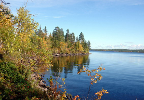 Осень на озере осень