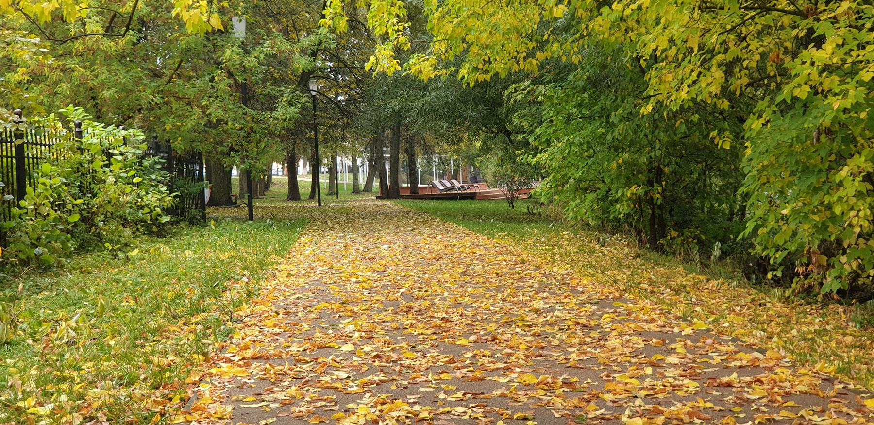 Осень в городе 