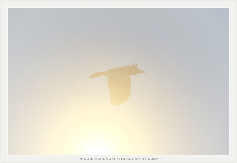 Вестник Солнечного Бога sun