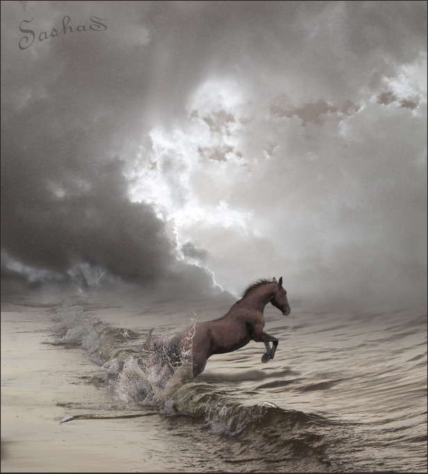 Тревожно конь horse