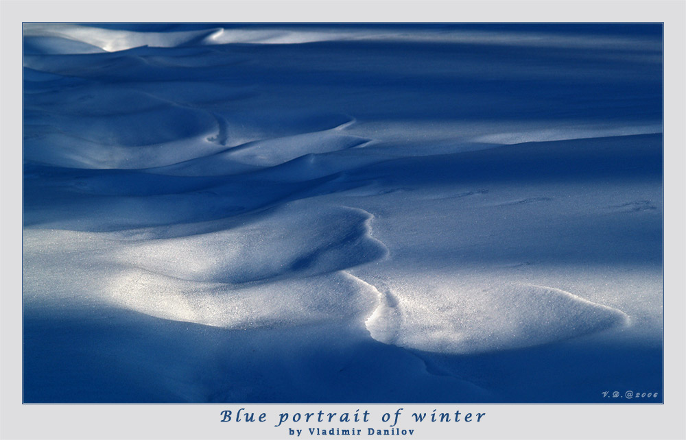 Blue portrait of winter 