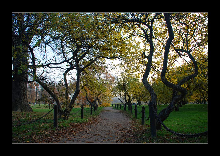 Autumn 2007 #1 