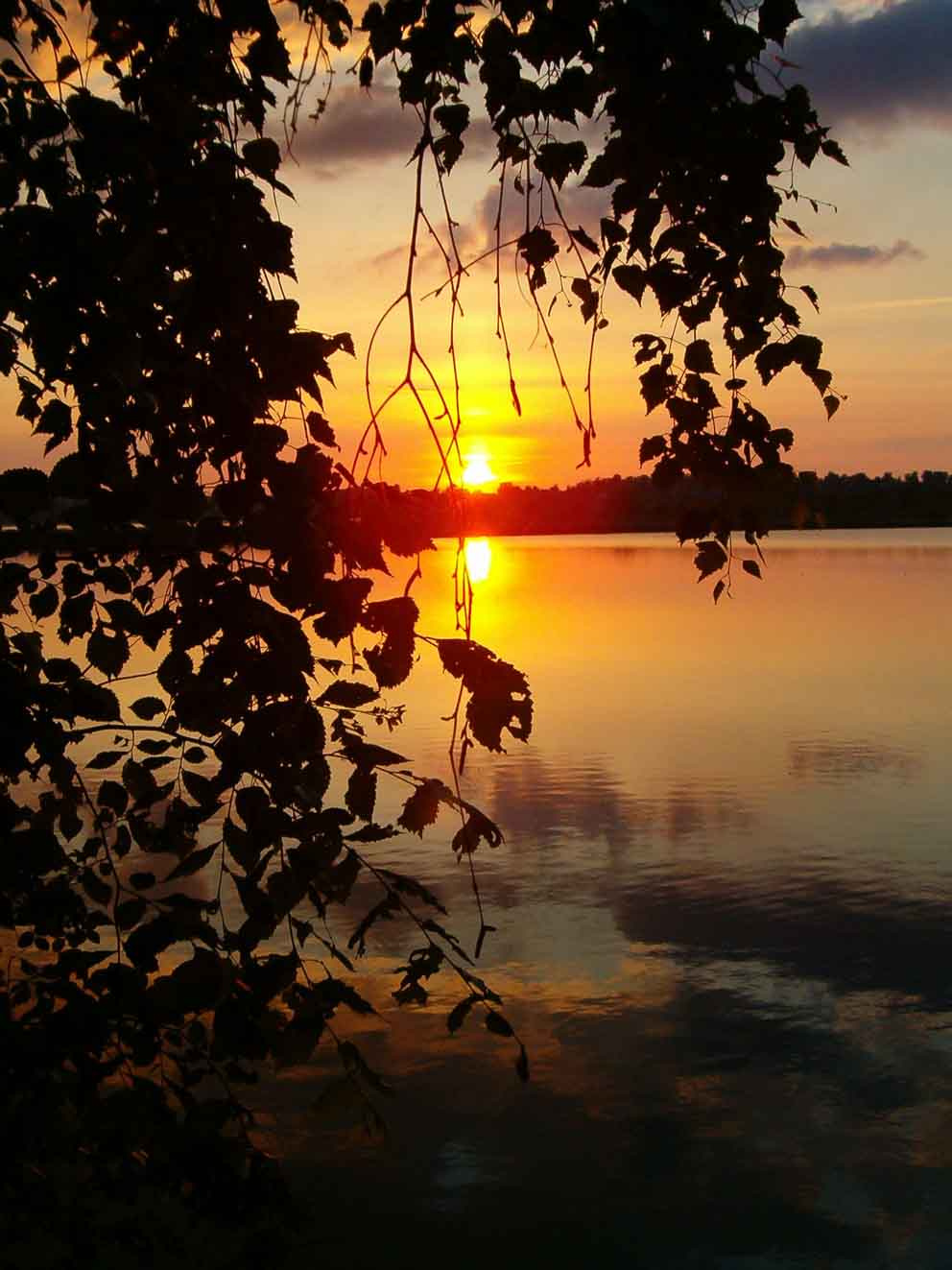 закат река, вечер, закат, речка
