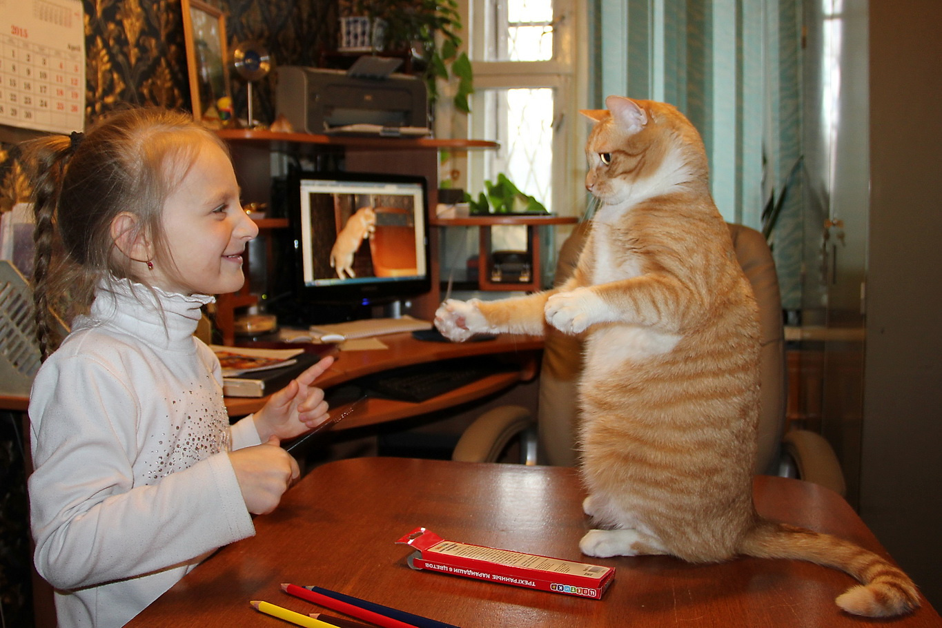 Друзья кот кошки мусик дети друзья