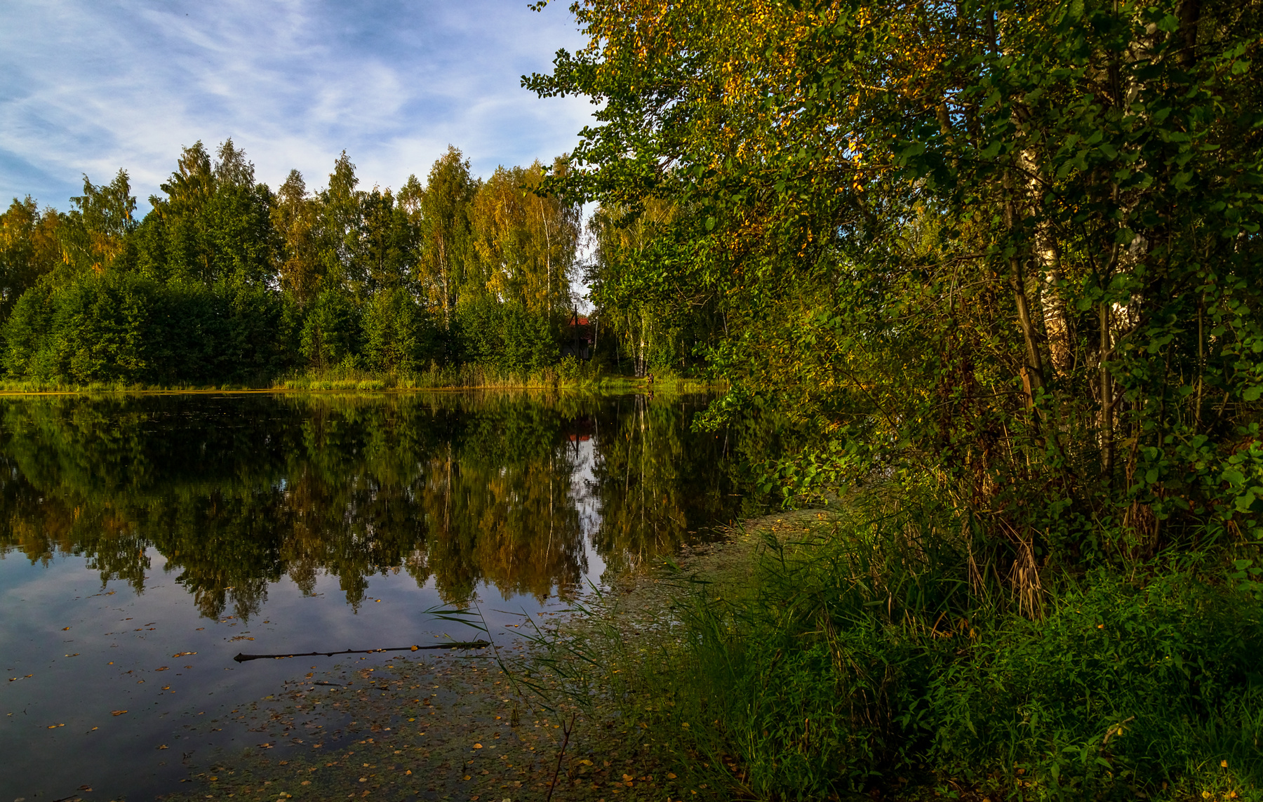 Теплая Подмосковная Осень # III 