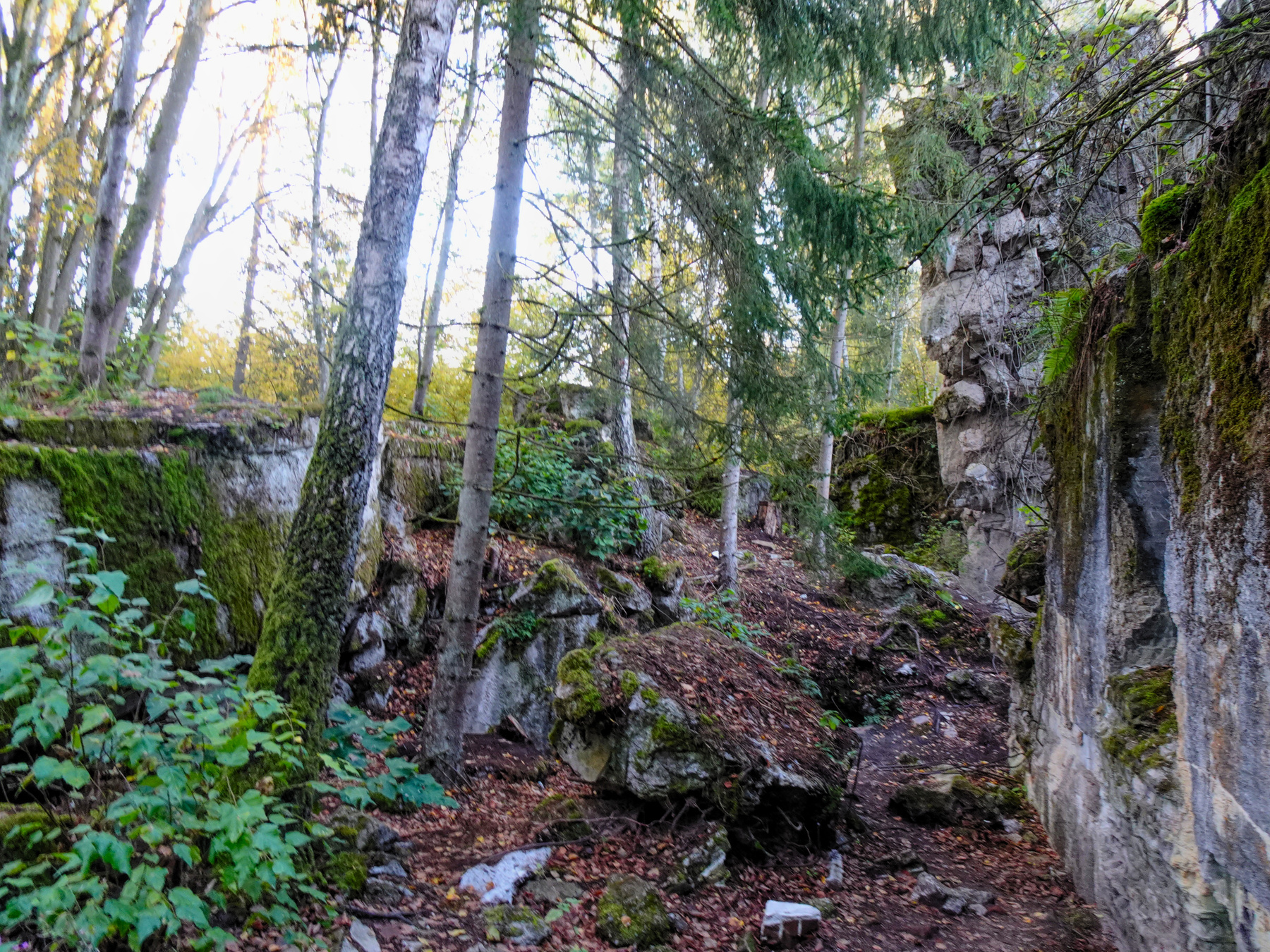 Ставка Гитлера Wolfsschanze Волчье логово Польша Wolfsschanze Гитлер