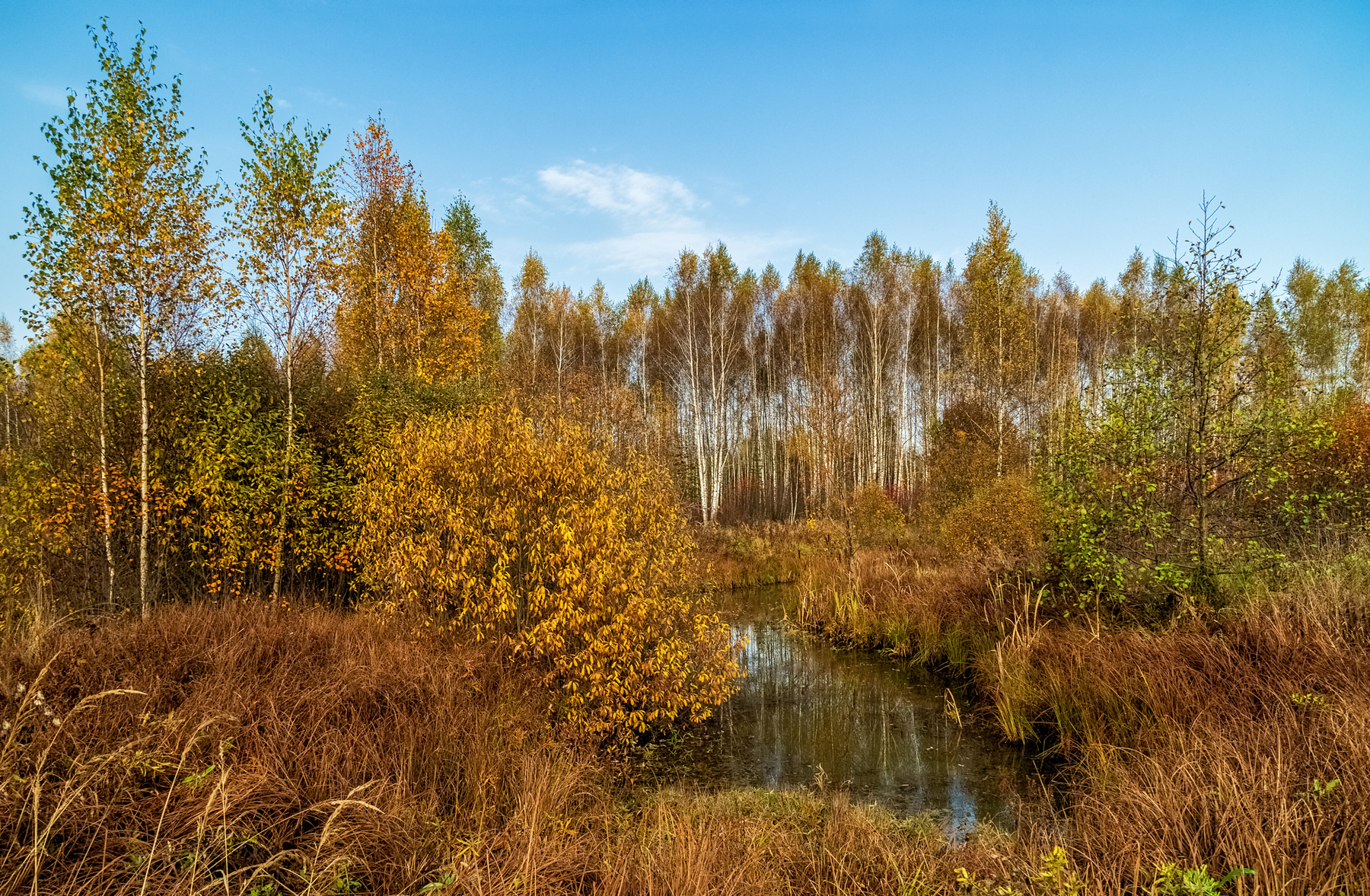 Осеннее утро 5 