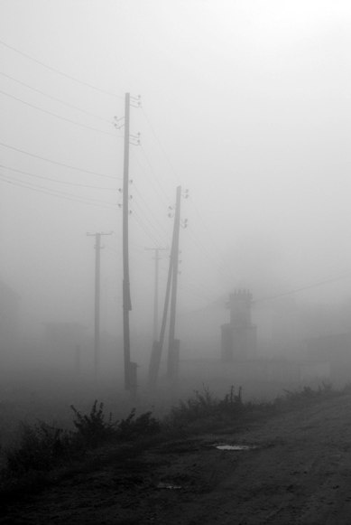 fog fog туман утро
