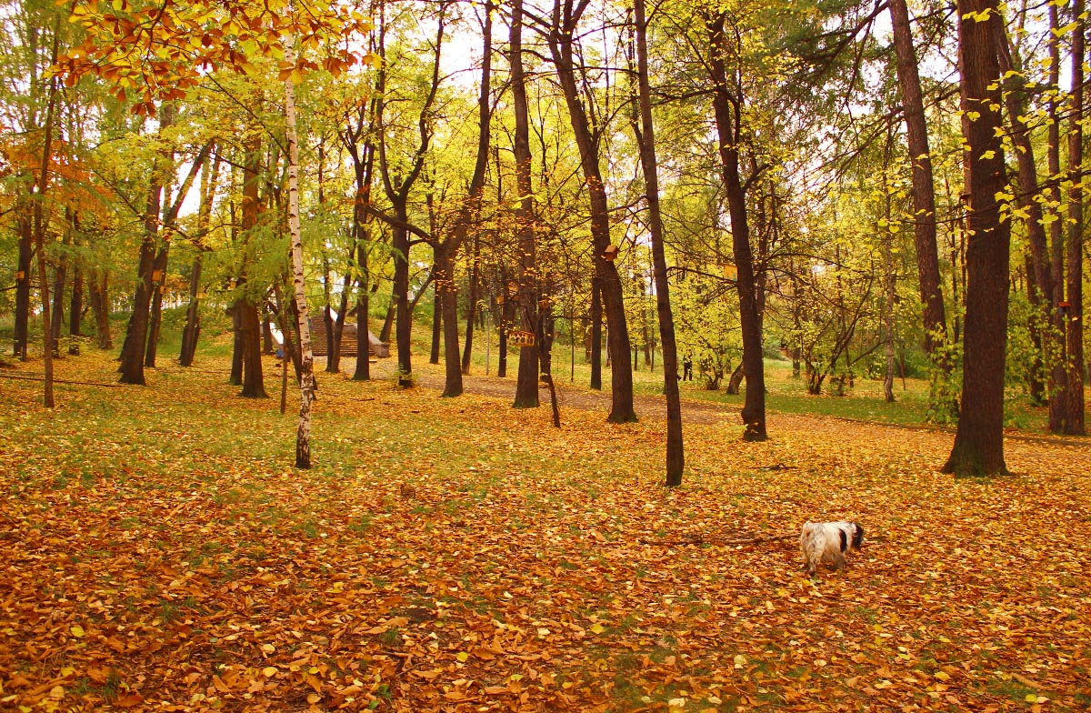 ***Харитоновский парк.*** 