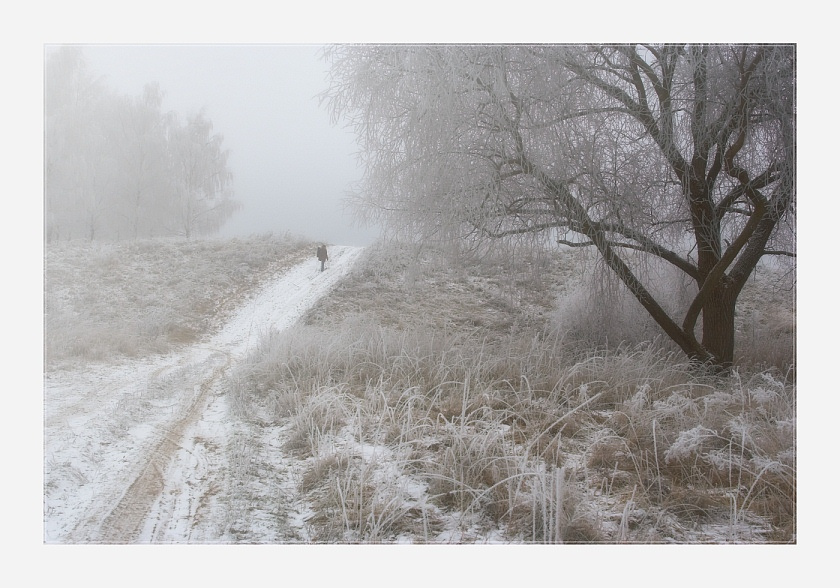 Misty Way дерево дорога девушка зима иней