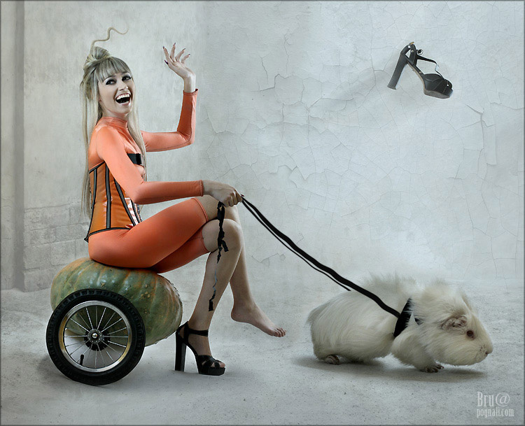 Cinderella cinderella bdsm katemoon брушша smile-and-cry