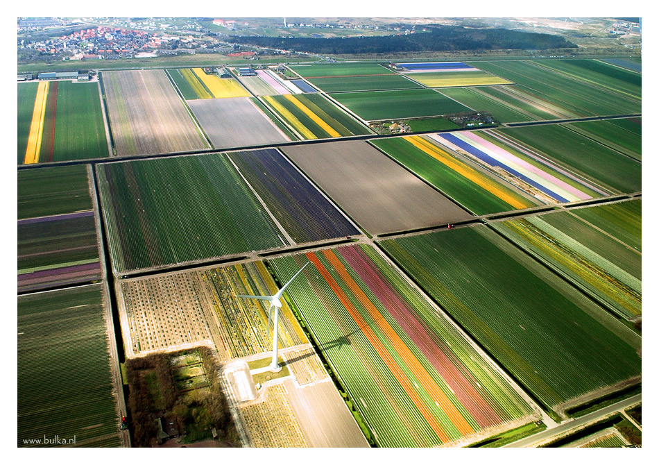 Голландия глазами птиц аэрофотосъемка, поля, ветряк, Holland