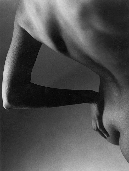 The Curve of beauty 