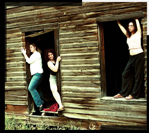homestead vixens 