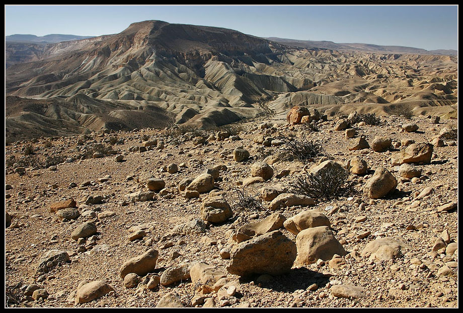 Пустыня Негев 2007