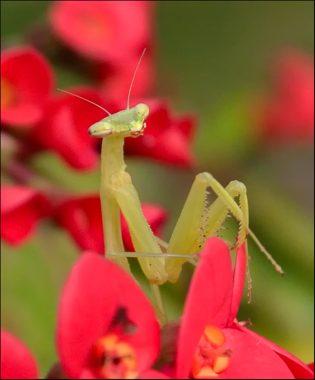Фотосессия 