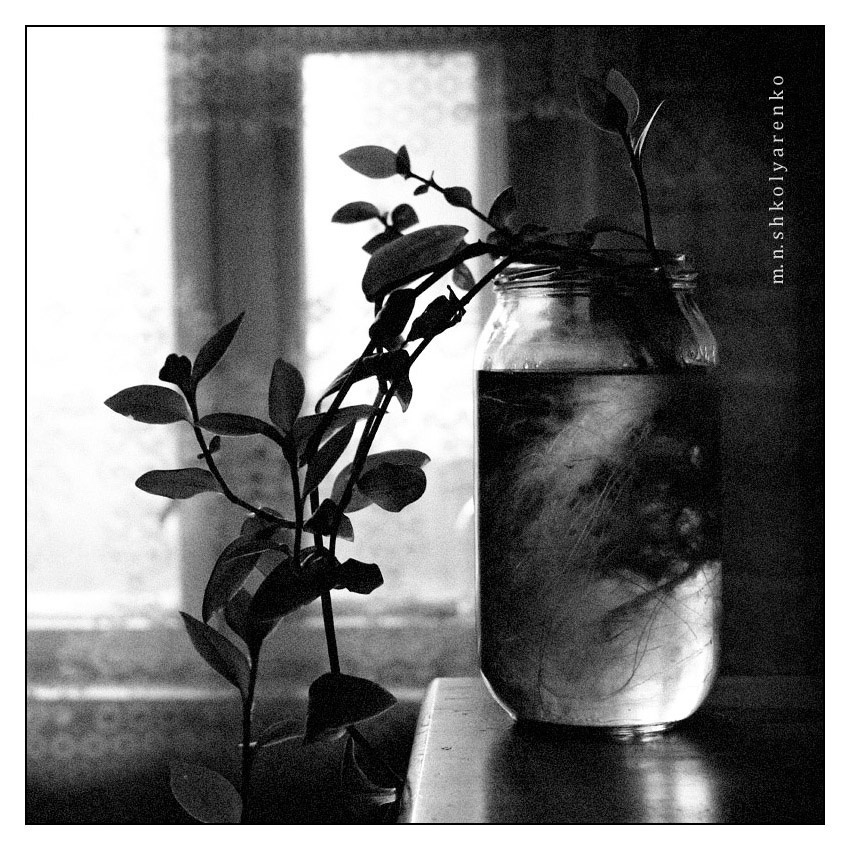 still life 