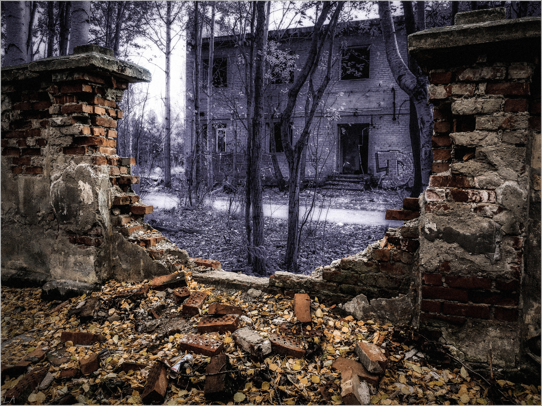 *Больничная стена* фотография путешествие город Север стена осень остальное Фото.Сайт Photo.Sight Светлана Мамакина Lihgra Adventure