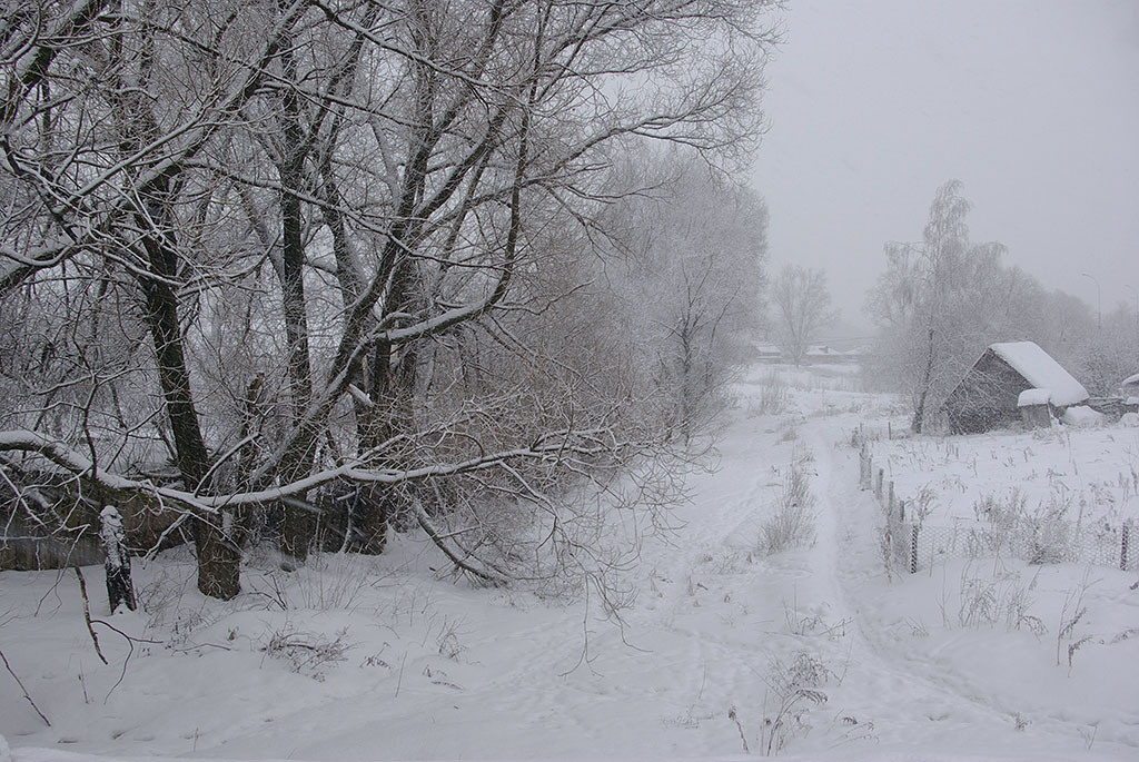 Московский снегопад. 