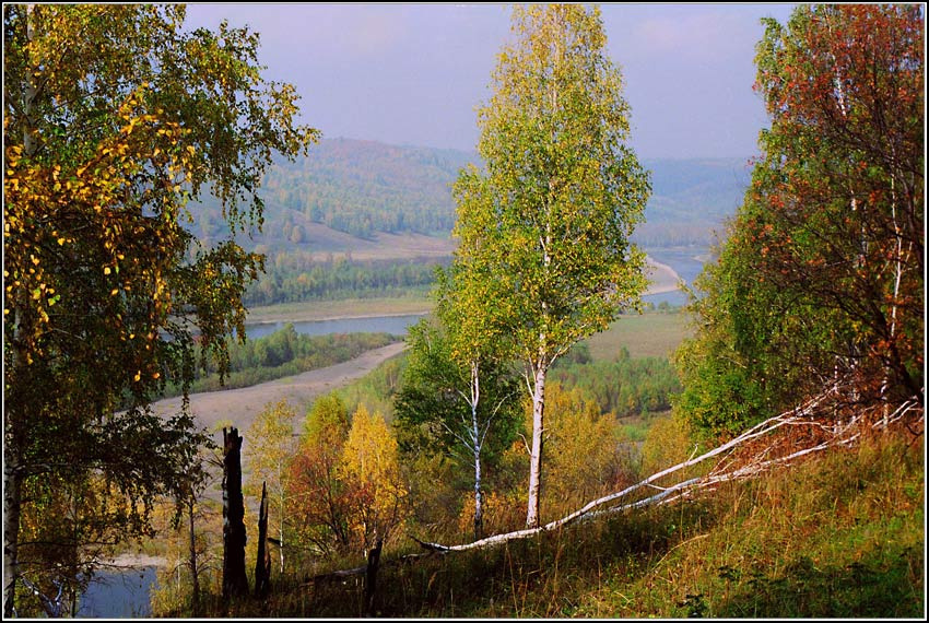 *** осень, река, деревья