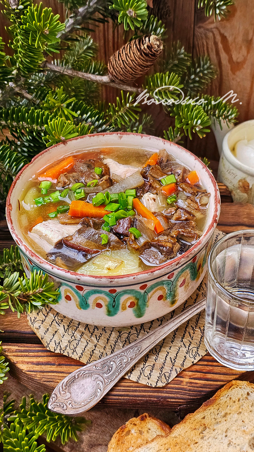 суп с белыми грибами и курицей 