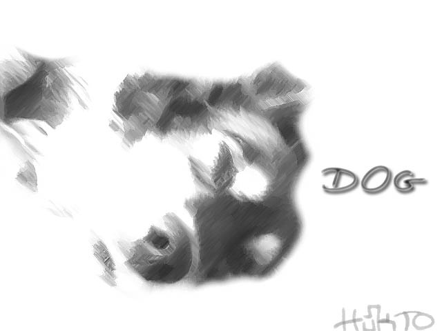 dog собака....