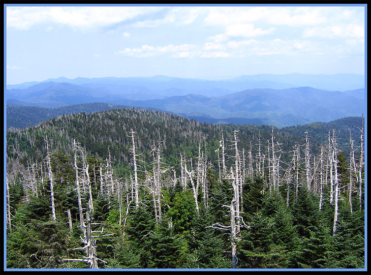 Тенесси Smoky Mountains горы