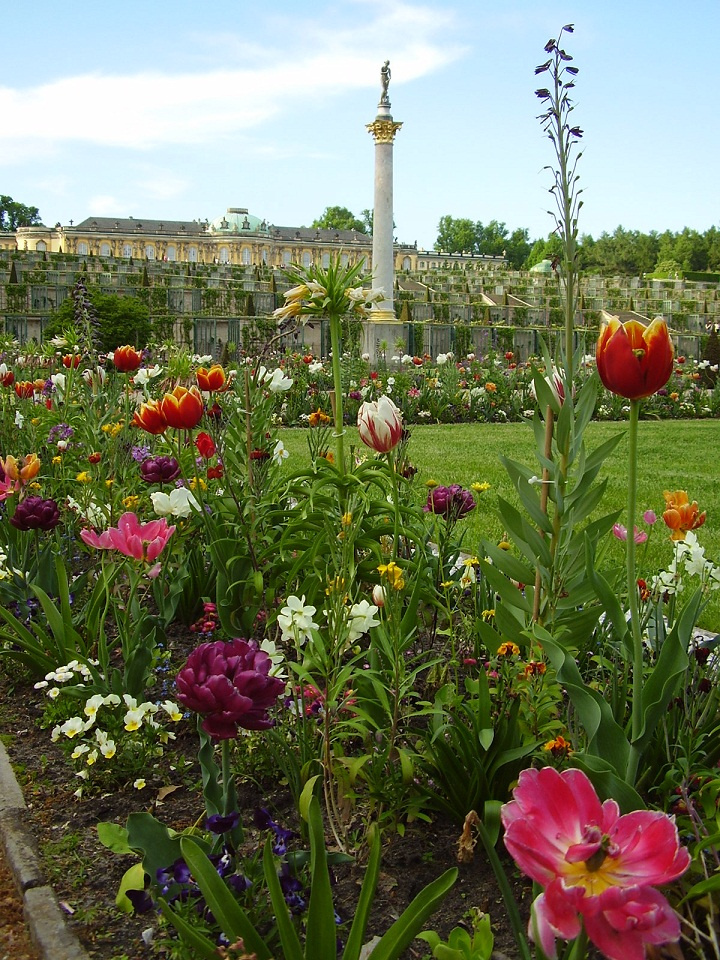 Дворец по имени "Безмятежный" Potsdam, SansSouci