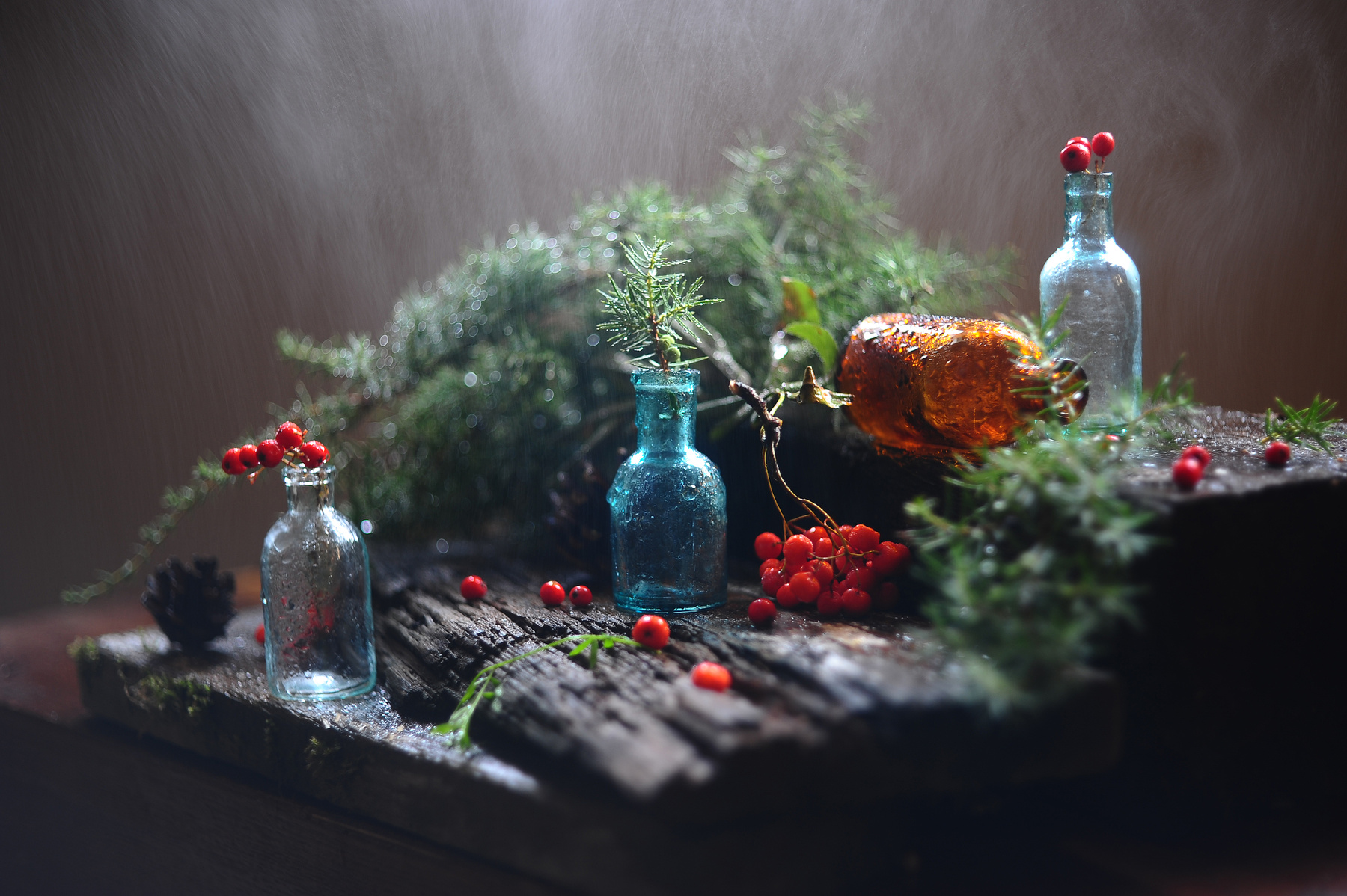 Снова дождь рисует мне. бутылочки рябинка шишки можжевельник вода