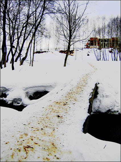 Следы весны 