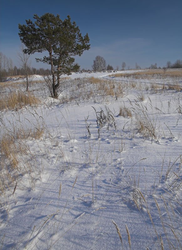 4 февраля 2007г. (#2516) 