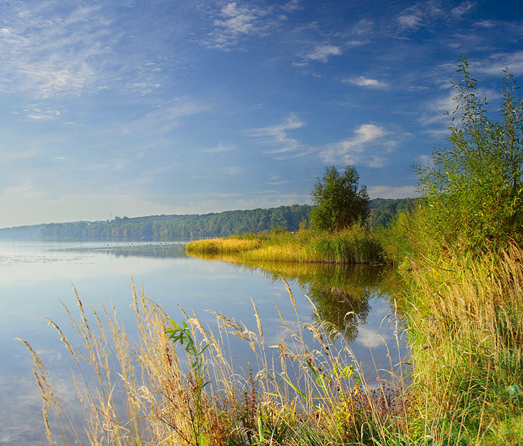    Осень озеро, камыш, небо, осень