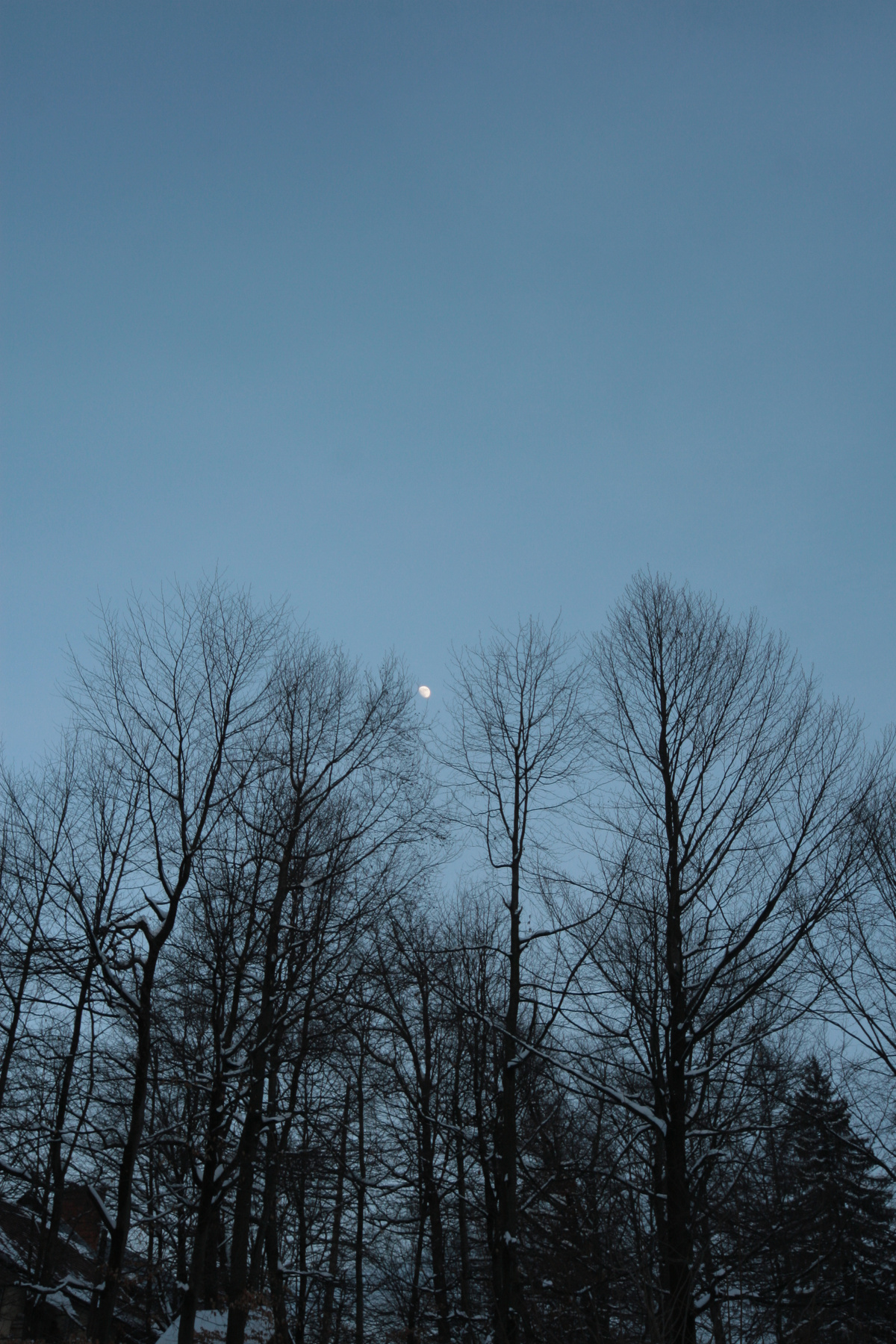 The moon Луна, небо