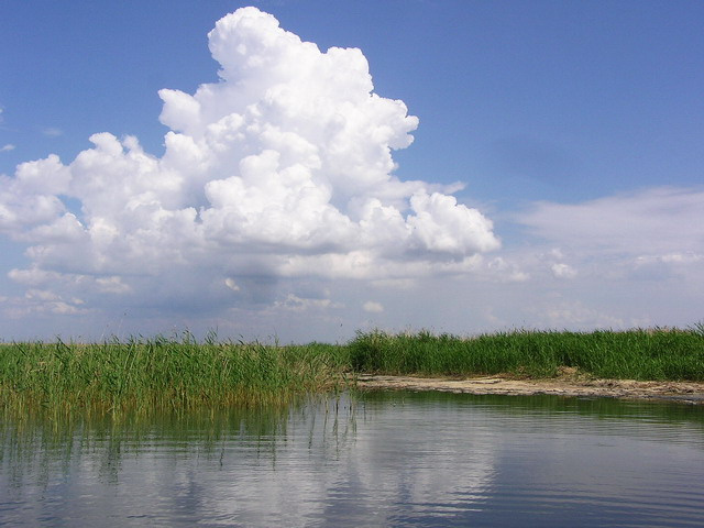 на озере 