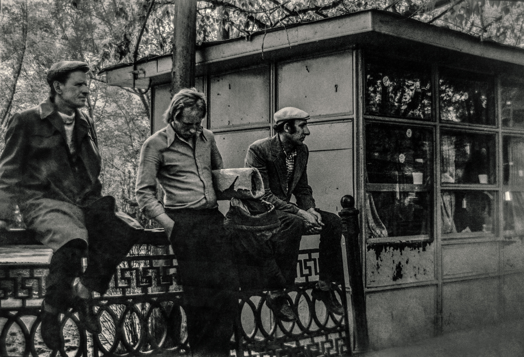 *** плёнка