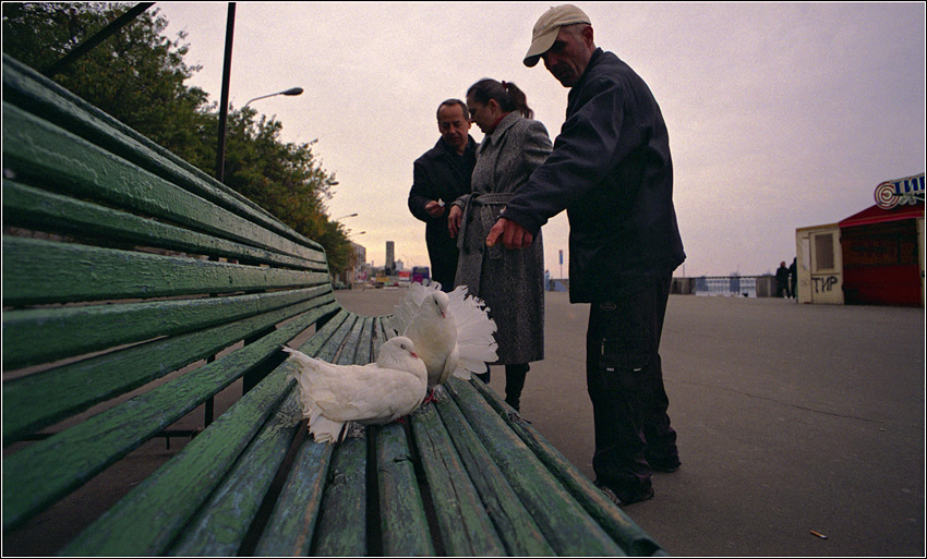 улететь из тира 