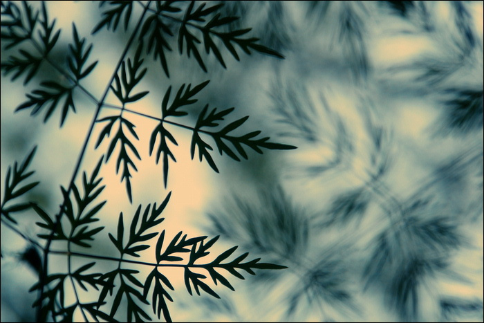 from under the grass 