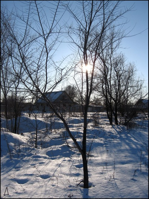 −30ºС дерево солнце снег