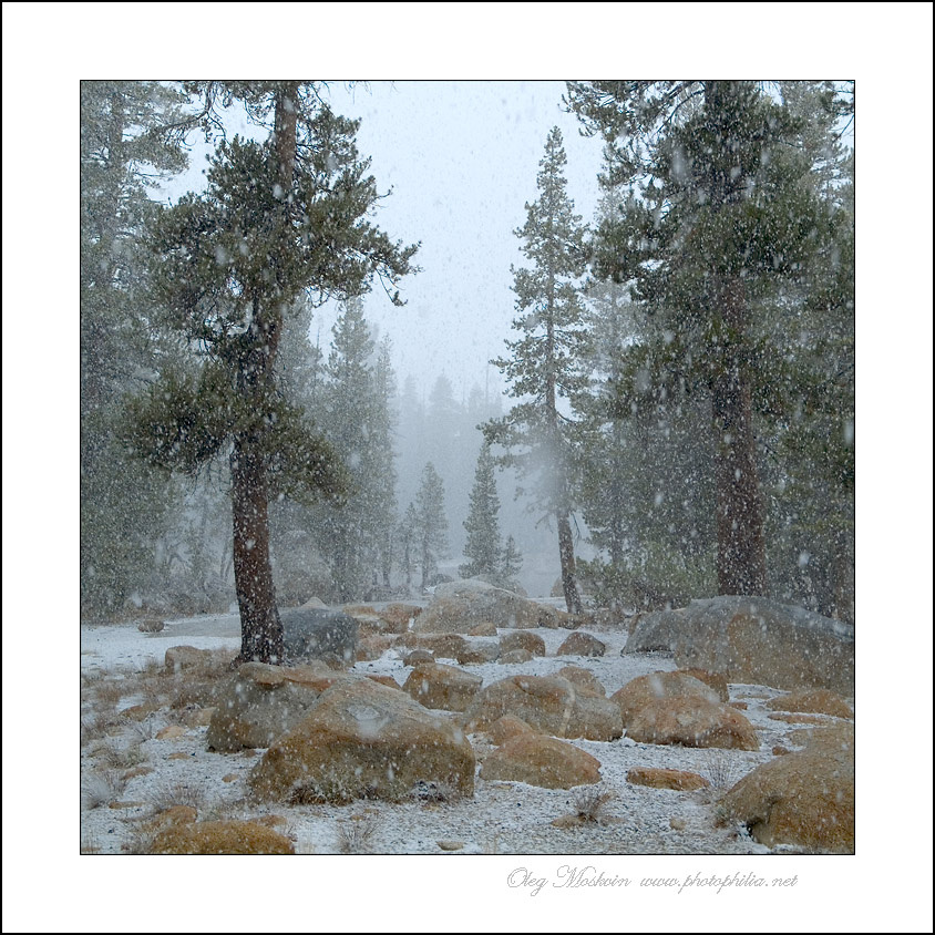 Не первый снег Yosemite, California