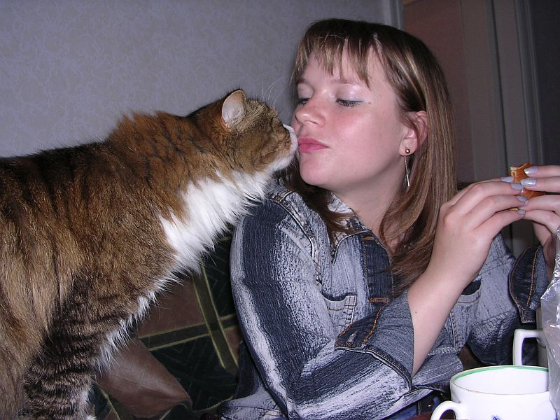 Какая любовь... Кот