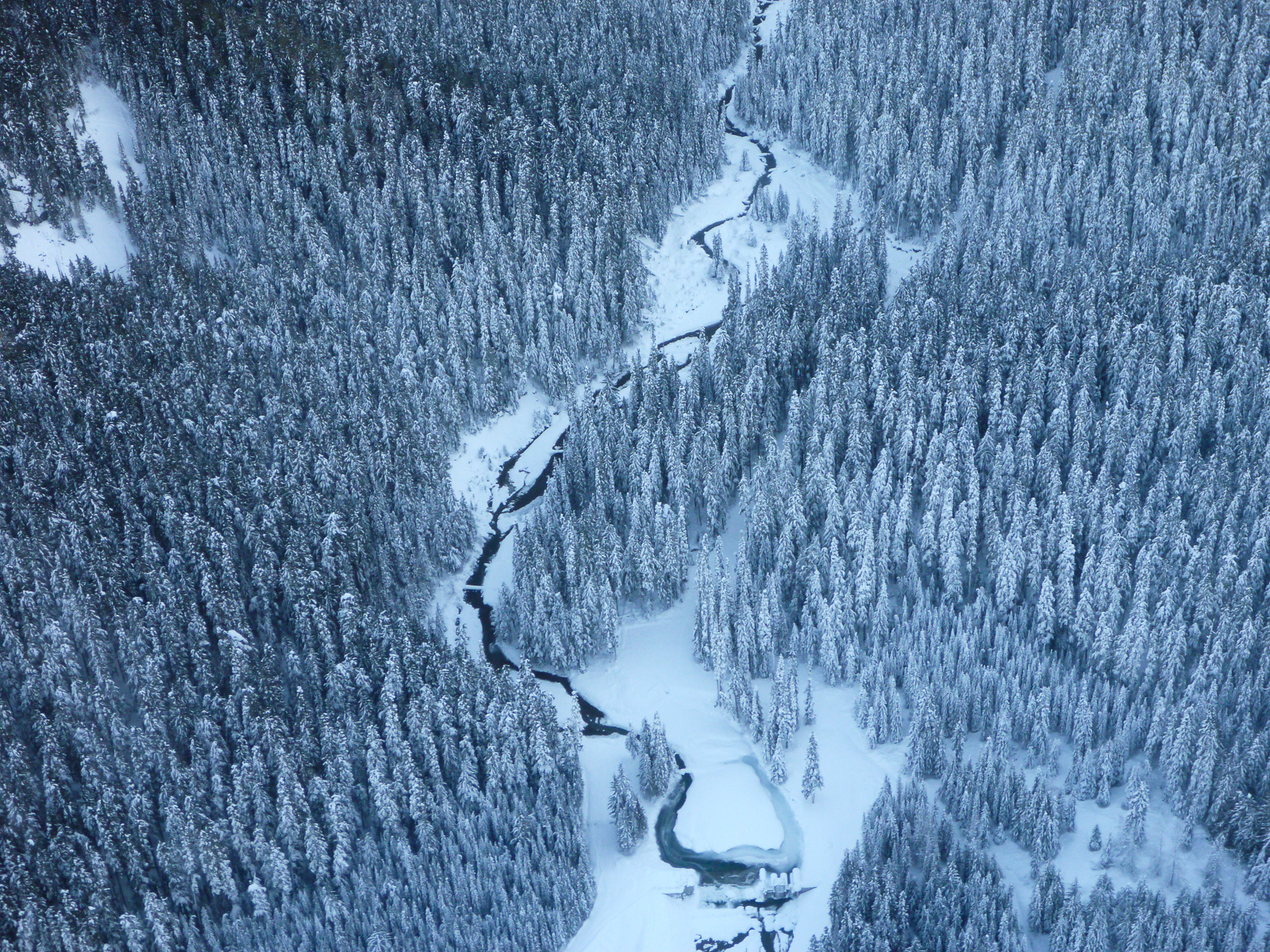 Ручей Whistler, creek, forest, winter, snow