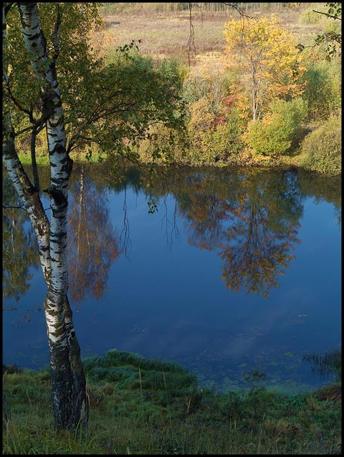*** осень берез река