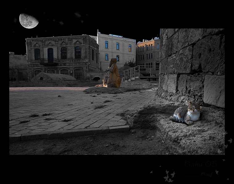 что снится кошкам, sur Баку Baku Cat Street Gyz Galasy Девичья Башня Старый Город Ичхери Шер My Travel Autumn