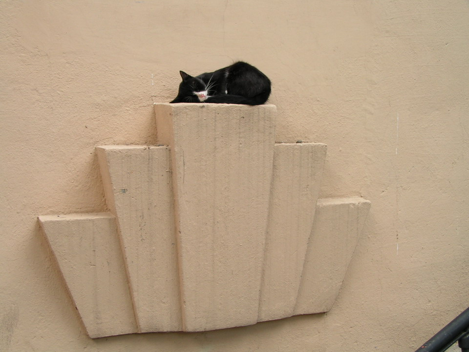 CAT IBM Dreaming cat