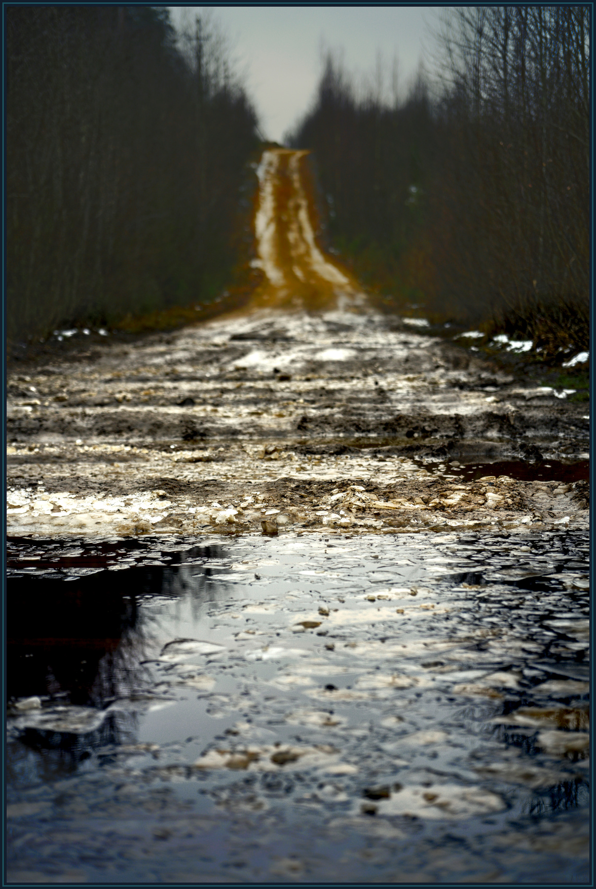 Дорога к декабрю (2) 